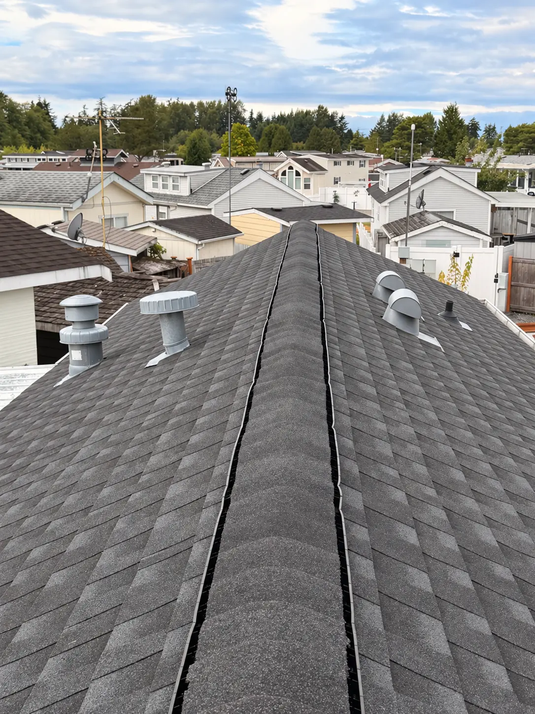 Alpine Elite Construction project photo 1